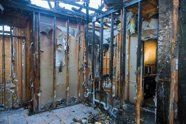 Professional Odor Removal technician working in Souderton, PA